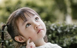 avatar1702611417699 17026114180281659555194