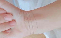 avatar1704354523836 17043545244561592019544