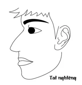 tilted ears 15568702555581268878074