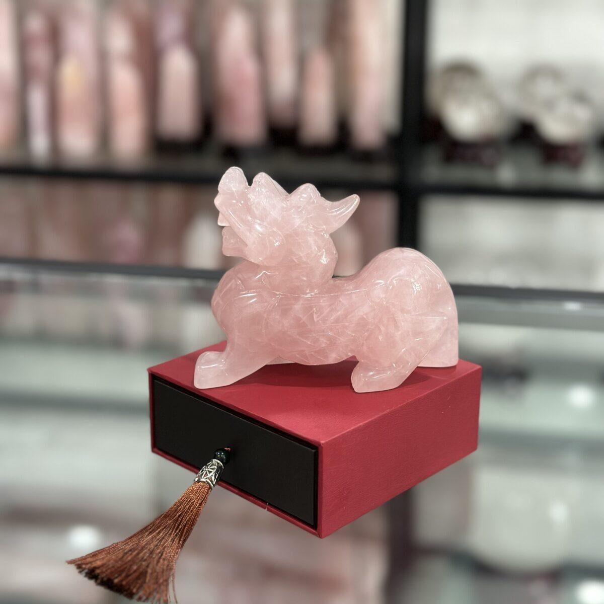 z5512278900386 98270ba2bd855629725a9cf5355c594f