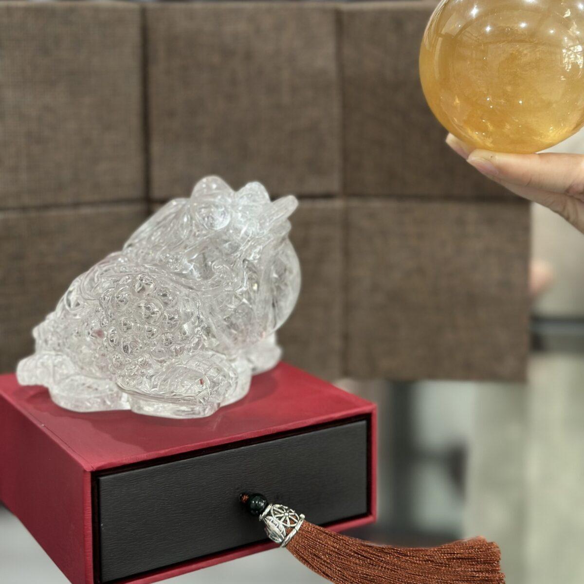 z5512279042743 91b493f36fbbffef97d2fbee98948eed