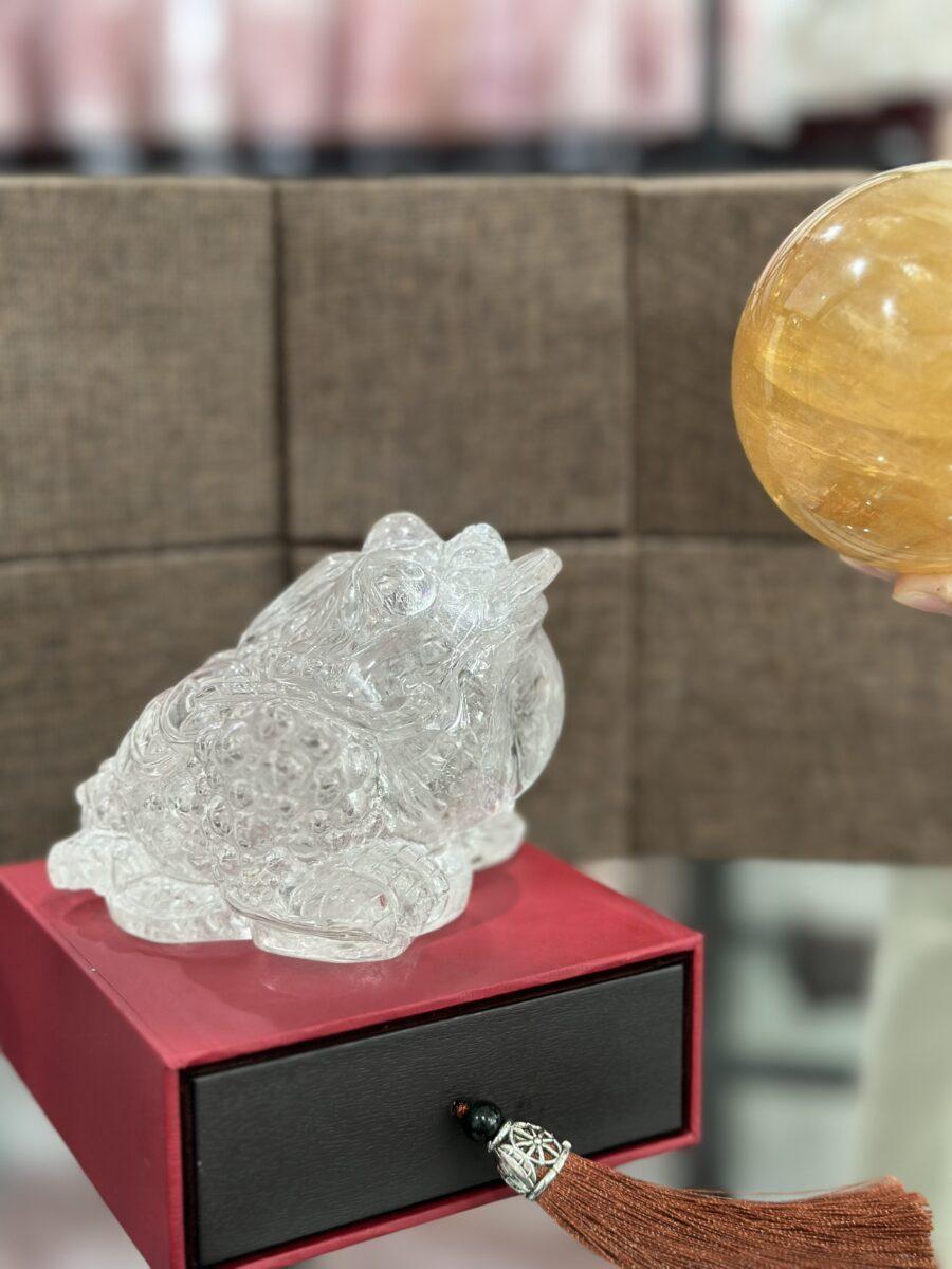 z5512279097486_70736d88b470c7cd09e2fb715ddcbee4 z5512279097486 70736d88b470c7cd09e2fb715ddcbee4