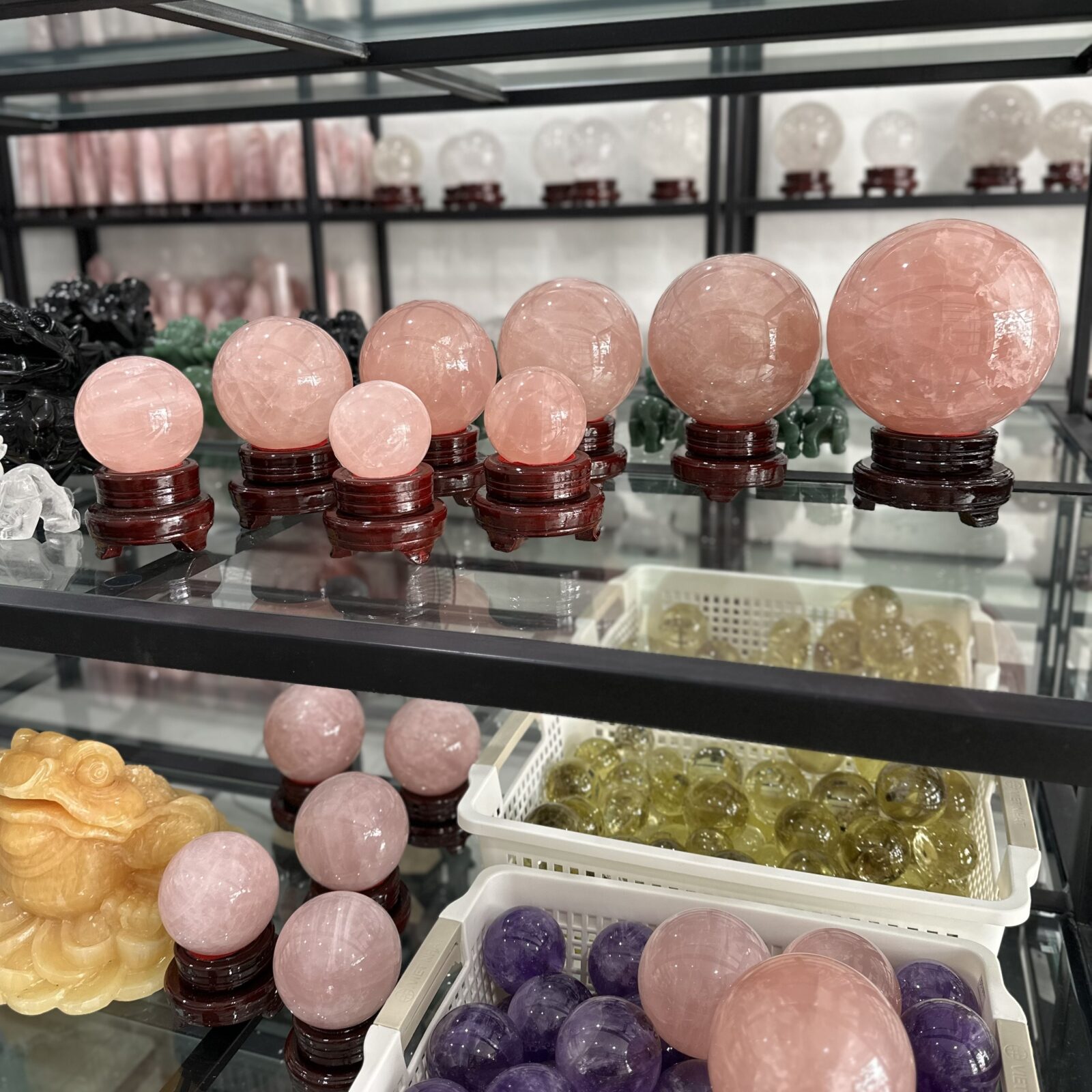 z5515518762536 bc61c09525cbe7824001fbcd0e1b7f4f