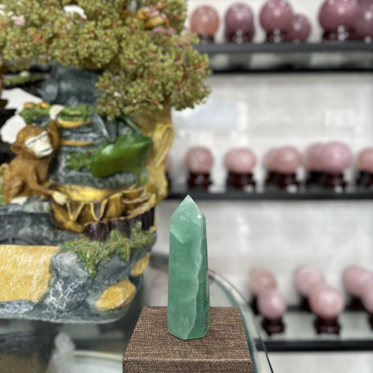 z5518621234786 6619471fa87b48e4592235305a1c1e11