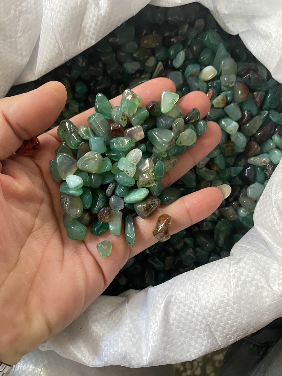 z5525732656725 5aff2190f998bfcf4bc0ee8a078504aa