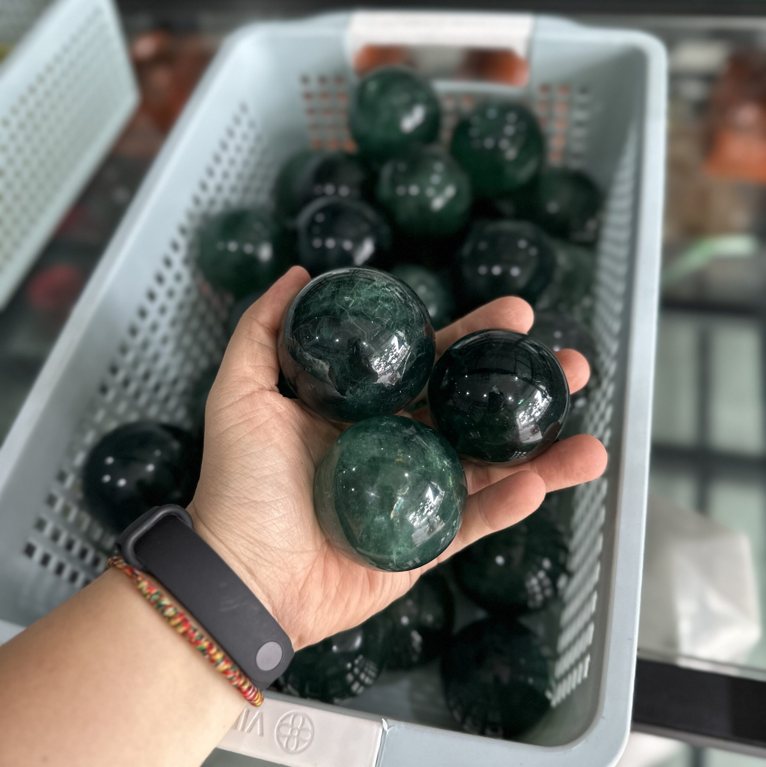 z5566160299025 694d9276a894c7e348a5187b3eda4741 scaled