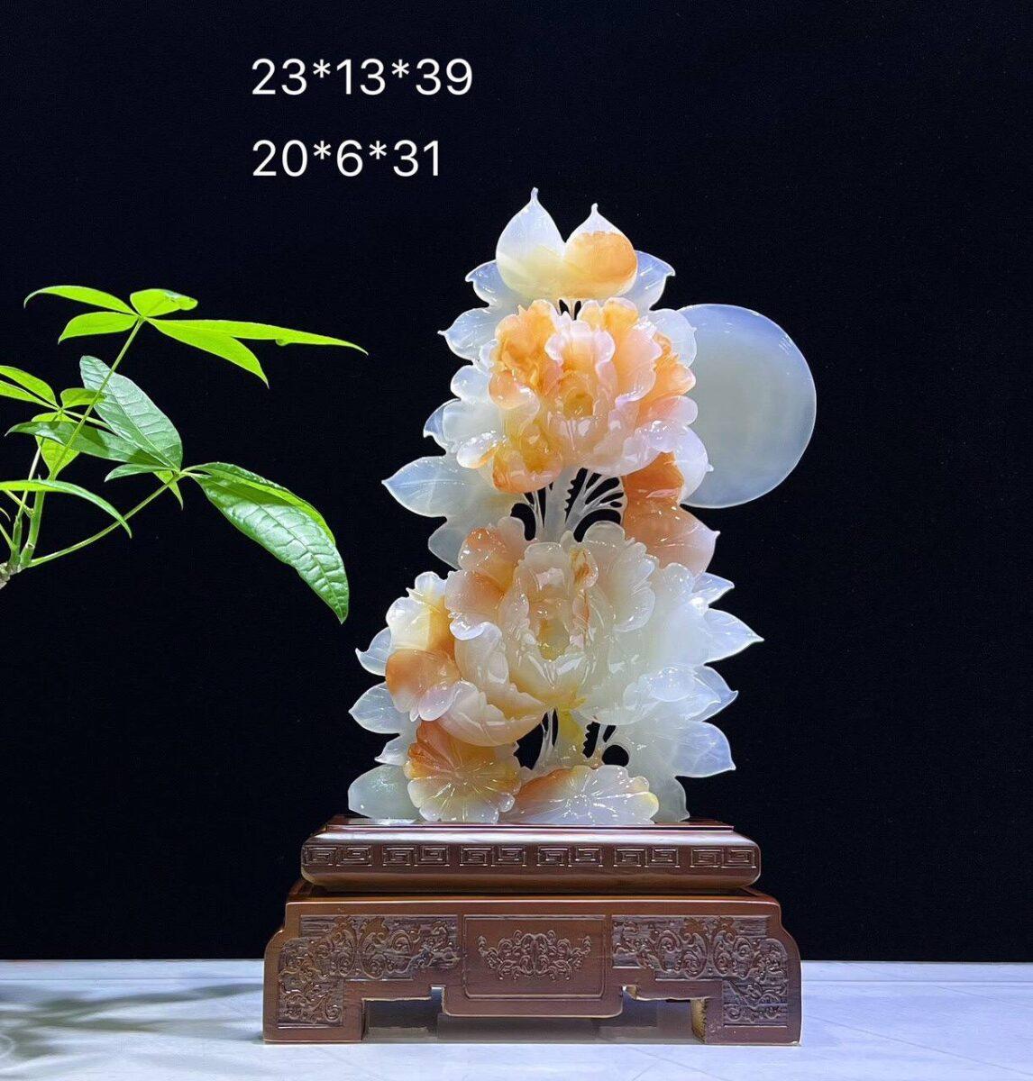 image 1 compressed 1