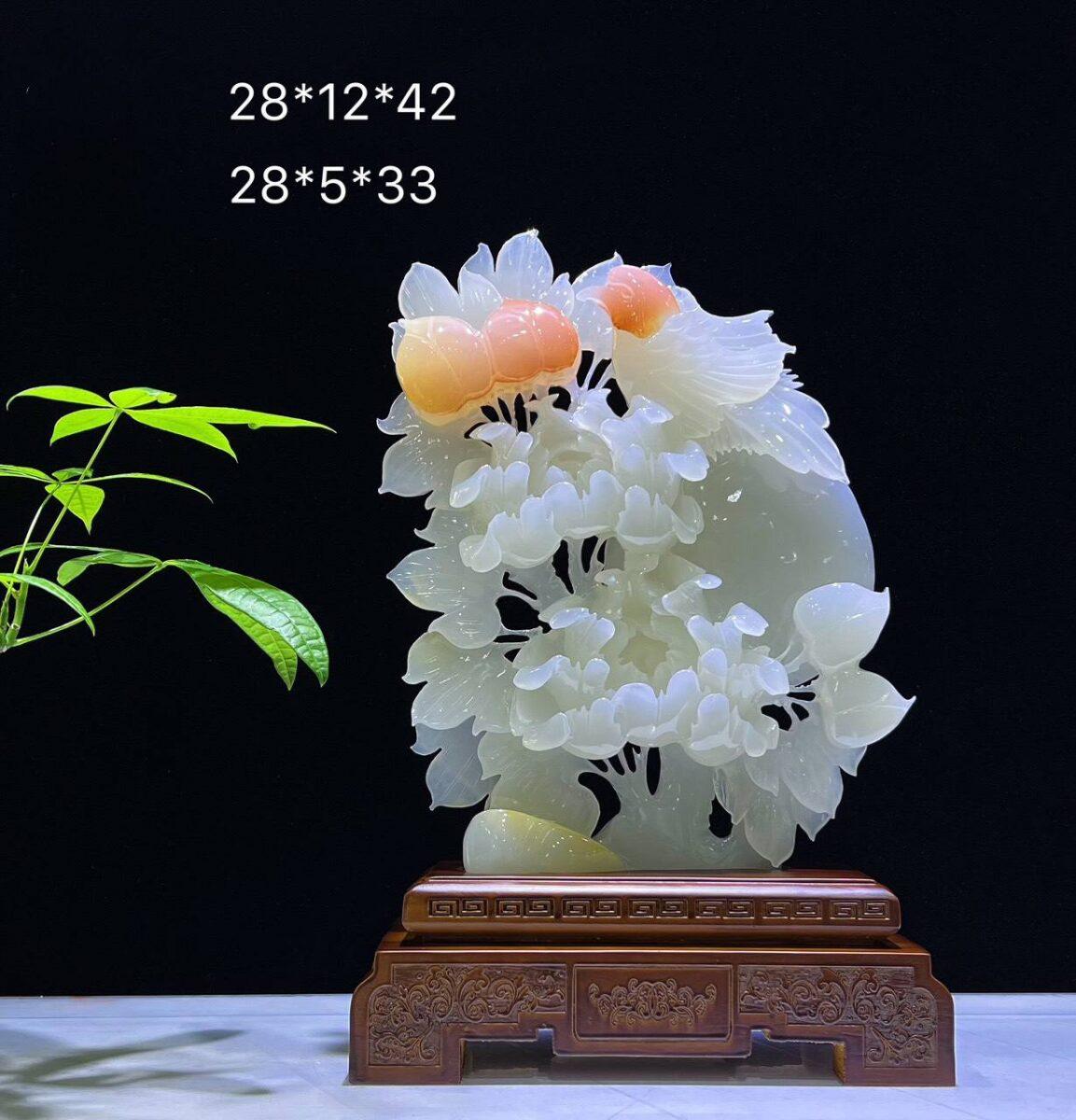 image 5 compressed 2