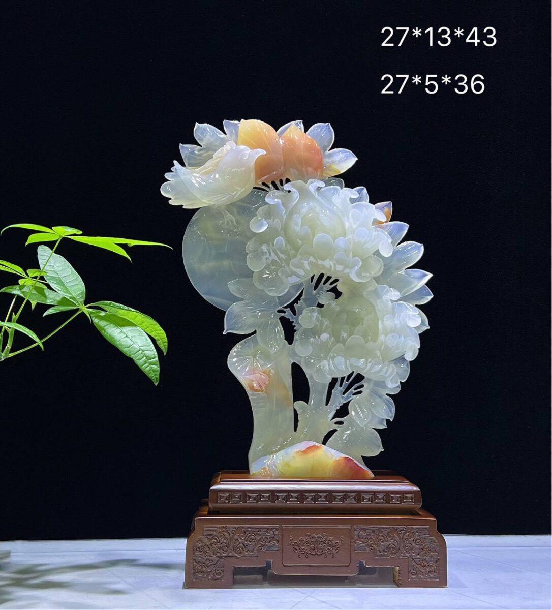 image 6 compressed 2