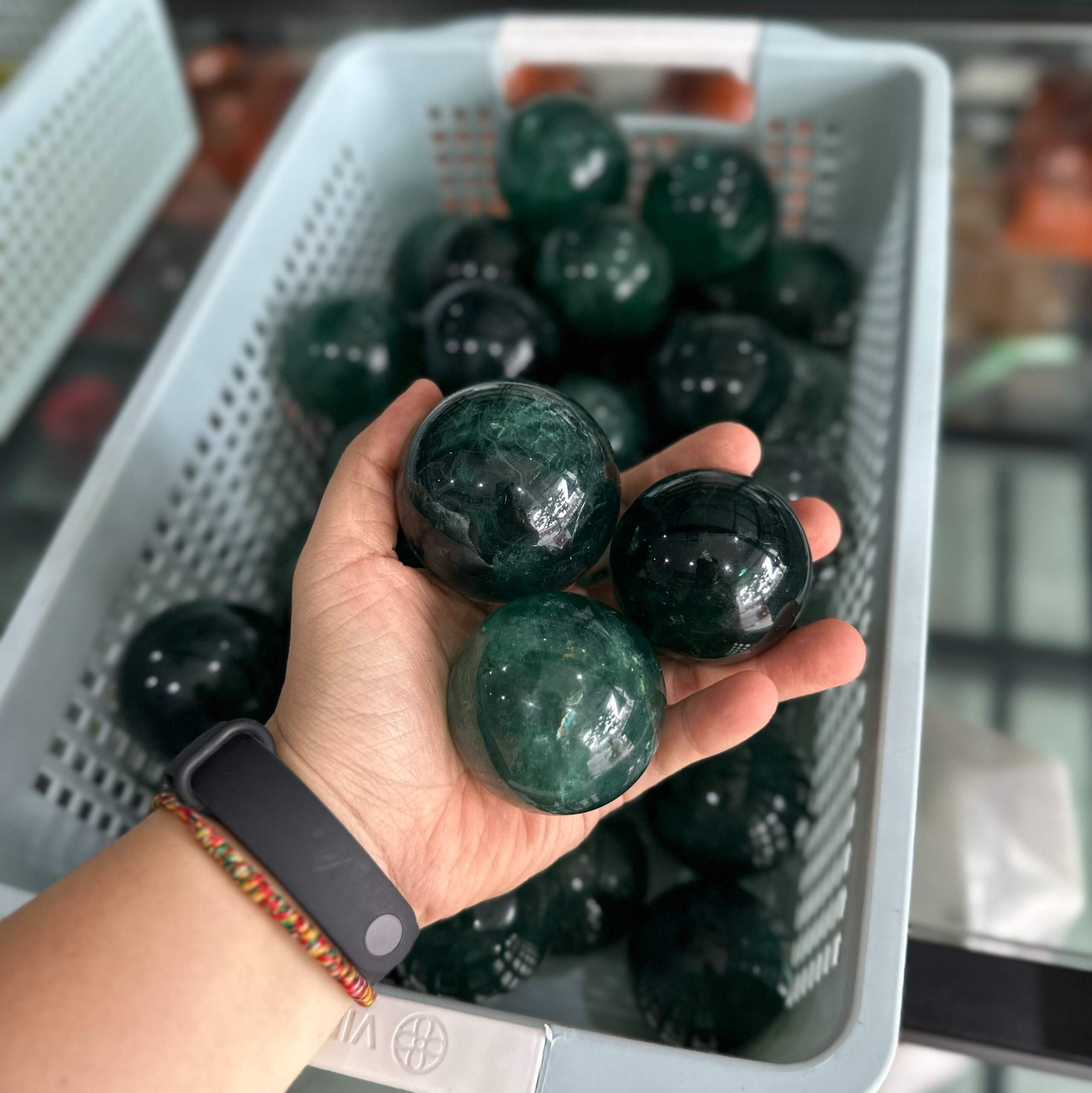 z5566160299025_694d9276a894c7e348a5187b3eda4741-compressed z5566160299025 694d9276a894c7e348a5187b3eda4741 compressed 1 scaled