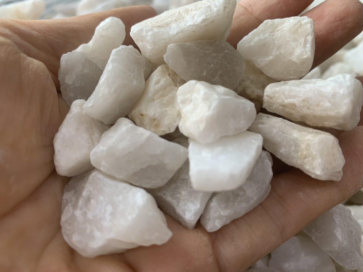 z5670549890855 76f00d513072087e1ee9d0869b1d336a